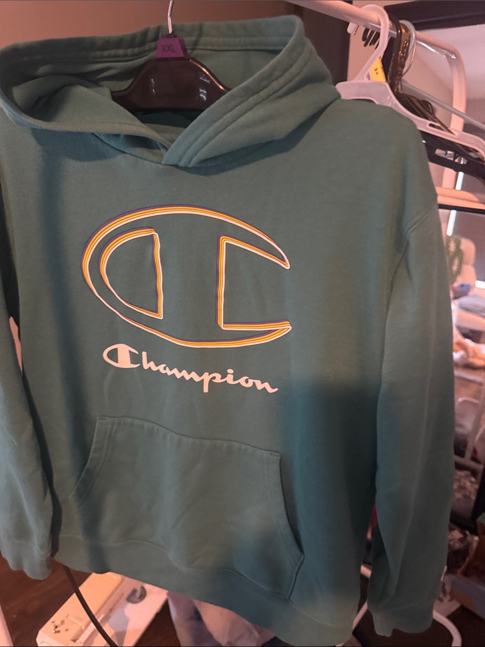 Champion Teal Green Hooded Sweatshirt with Logo
